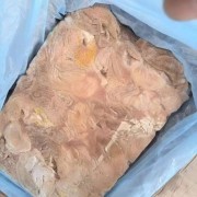 103圆肚
