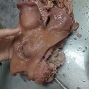 猪头肉