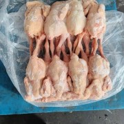 二级三黄鸡