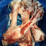 558厂牛腿骨