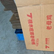 老母鸡