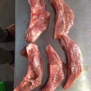 月亮骨 支持样品