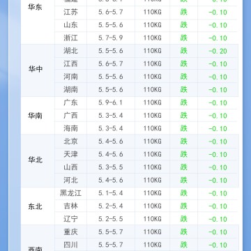 2026年8月22日 明日最新猪价！
