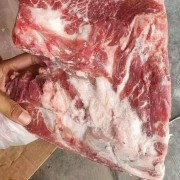 母猪去颈前排