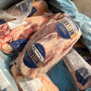 103带骨前腱