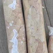 羊拐肠
