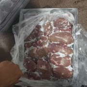 肥猪一级腰子