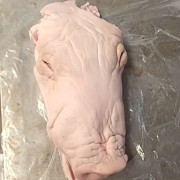 生扒去骨猪头肉