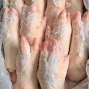 母猪一级蹄